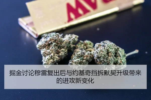 掘金讨论穆雷复出后与约基奇挡拆默契升级带来的进攻新变化
